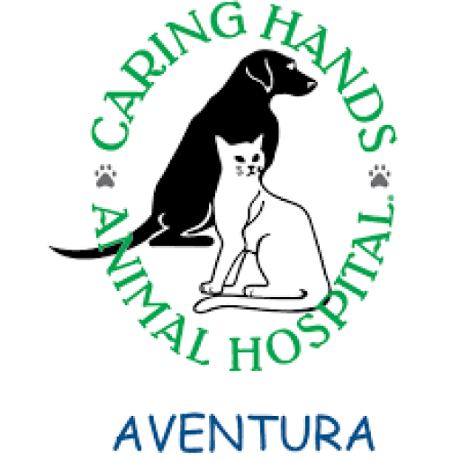 Caring Hands Florida – Keeping You A Part of Your Pet's Care